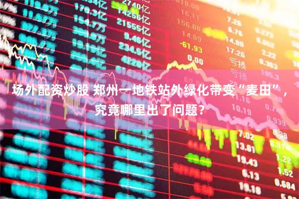场外配资炒股 郑州一地铁站外绿化带变“麦田”，究竟哪里出了问题？